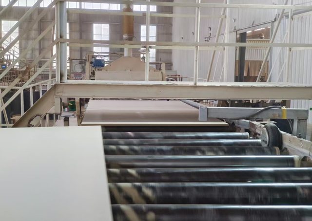Wide-belt Sanding Line
